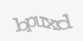/component/jcomments/captcha/15705.html