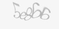 /component/jcomments/captcha/32782.html